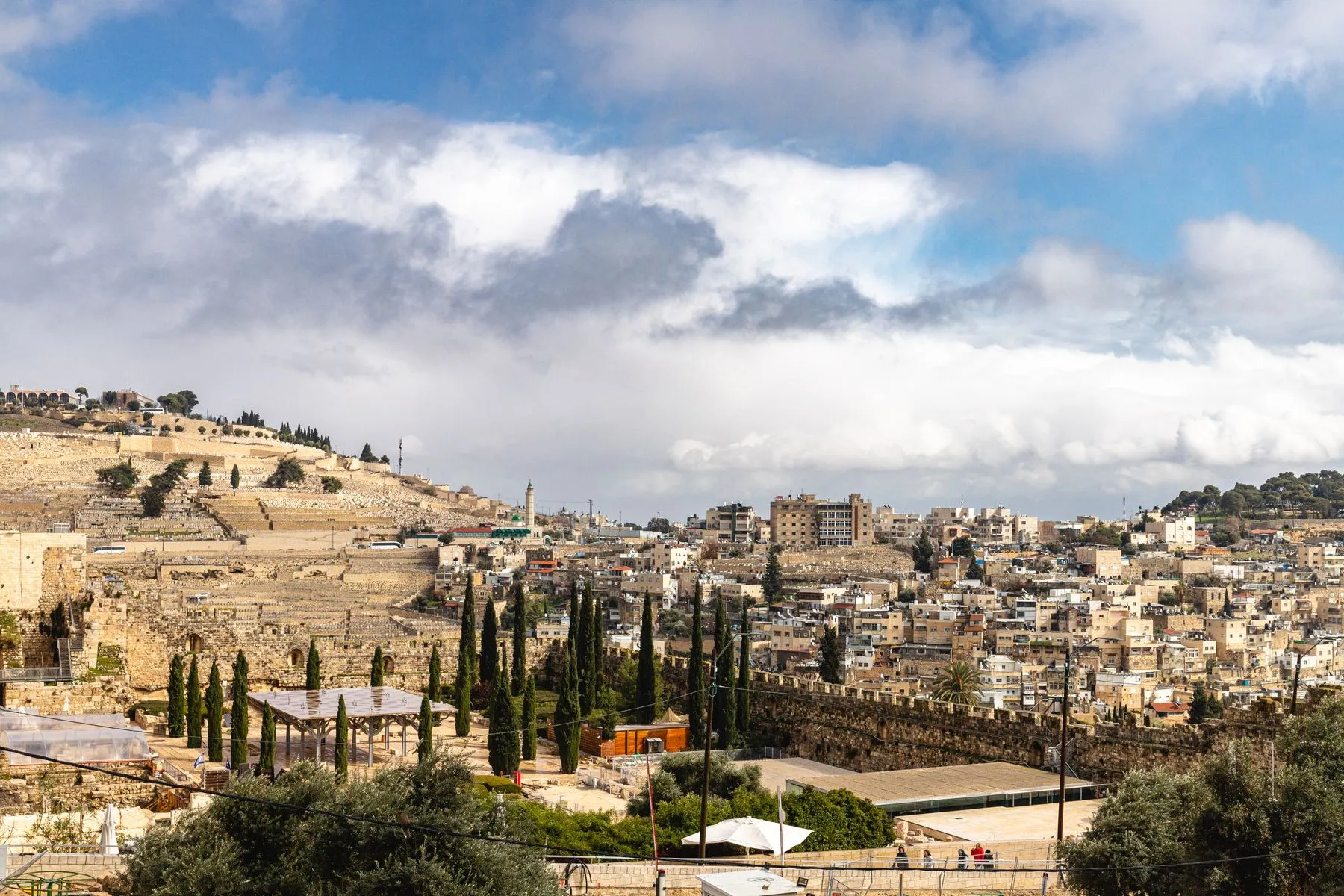 מבט על ירושלים מראש גבעה, עם בתי אבן ועצי ברוש